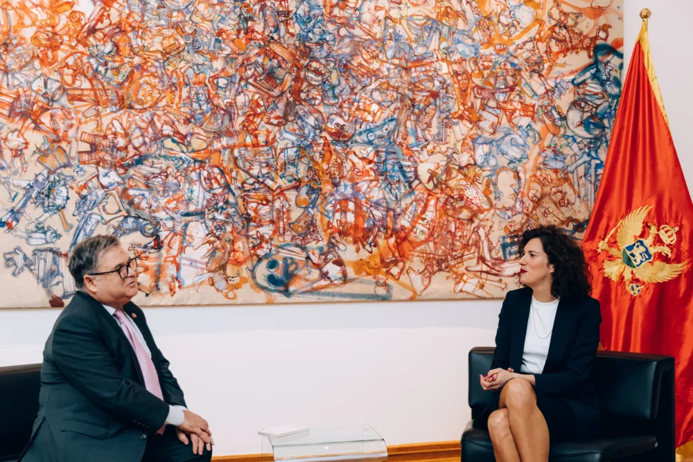 Vlaović i Timonije