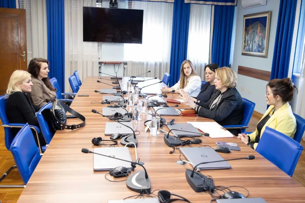 Ženski klub Skup&scaron;tine i Međunarodni klub žena