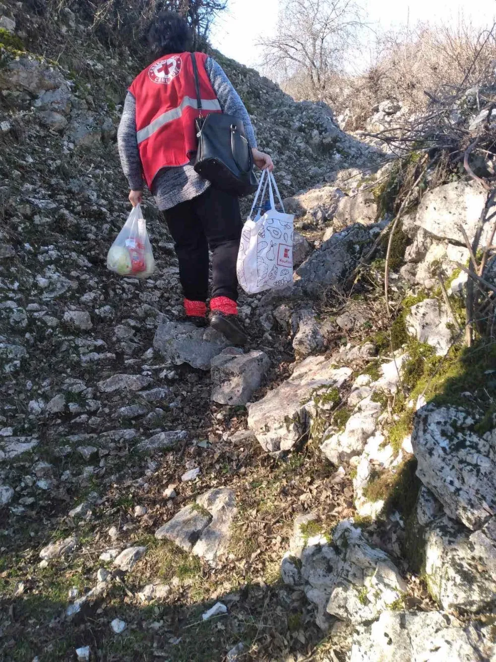 Podiјeljeni humanitarni paketi za 60 porodica u Danilovgradu