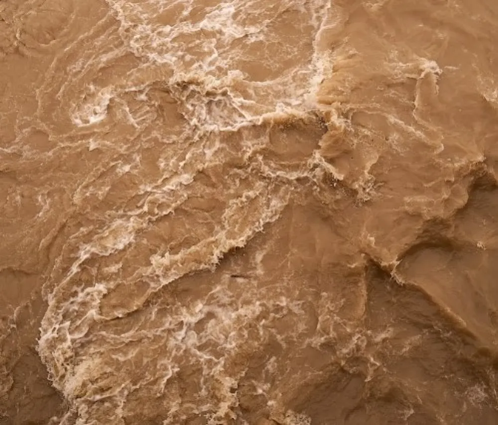 Unsplash ilustracija