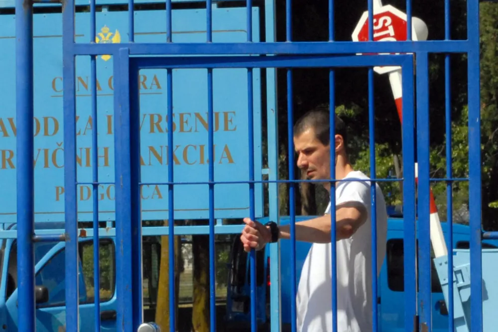 Vuk Vulević