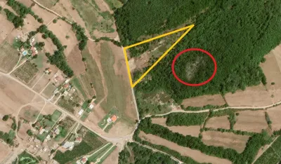 (FOTO) CZIP: Ugrožena najvažnija kolonija ptica u Ulcinju