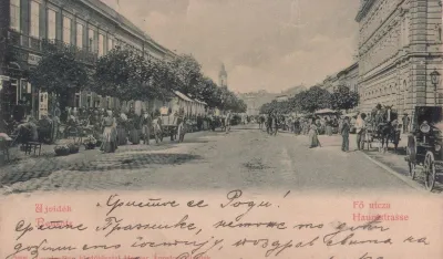 Нови Сад крајем 19. вијека (ФОТО: ИЗ ЗБИРКЕ СЛАВКА КОШУТИЋА)