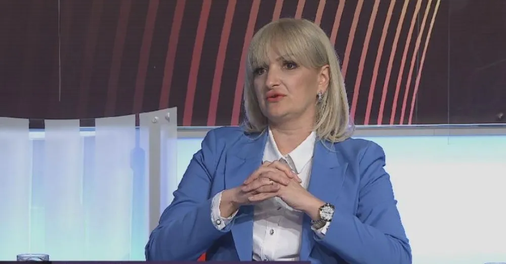 Borovinić Bojović: Pregovori teku svojim tokom, Podgorica je u sigurnim rukama