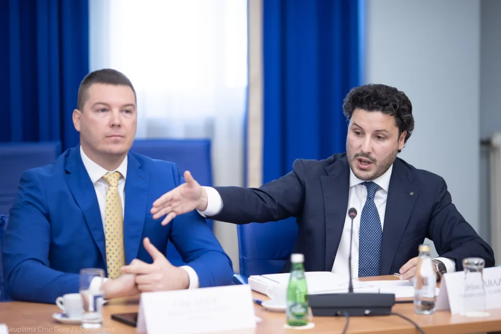 Odbor za bezbjednost, odbor za bezbjednost nastavak 35 sjednice