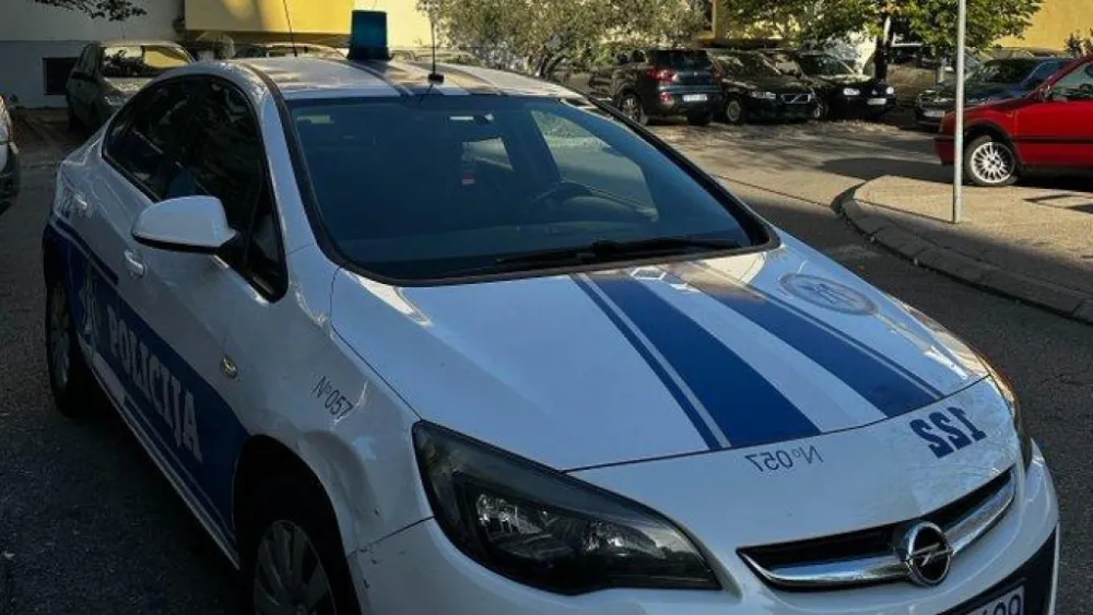 Полиција, полиција