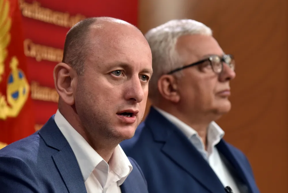 Milan Knezevic, Andrija Mandic, DF