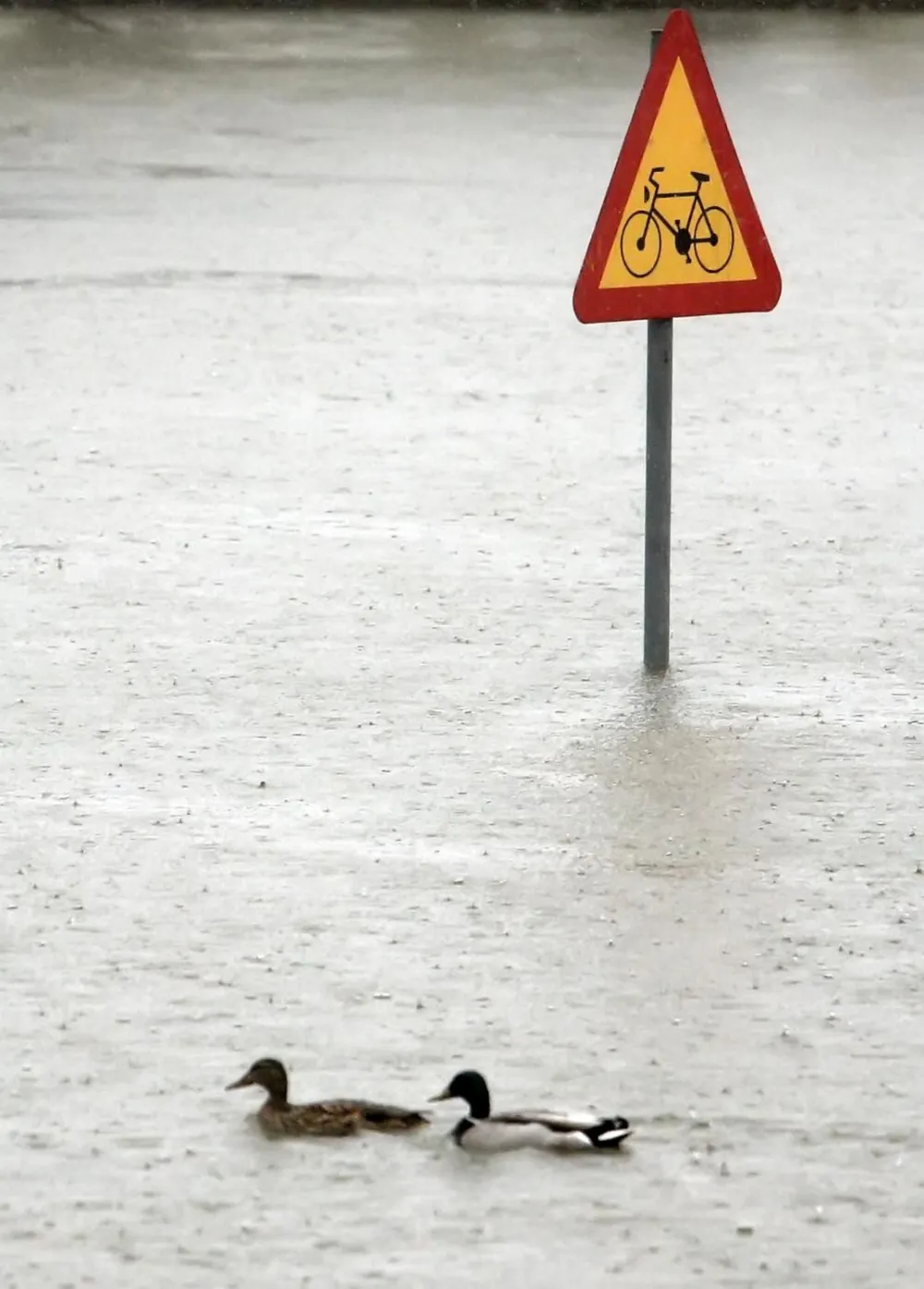Mesto: BEOGRAD<br>Datum: 12.04.2006<br>Dogadjaj: poplava u Beogradu<br>Licnosti: <br>