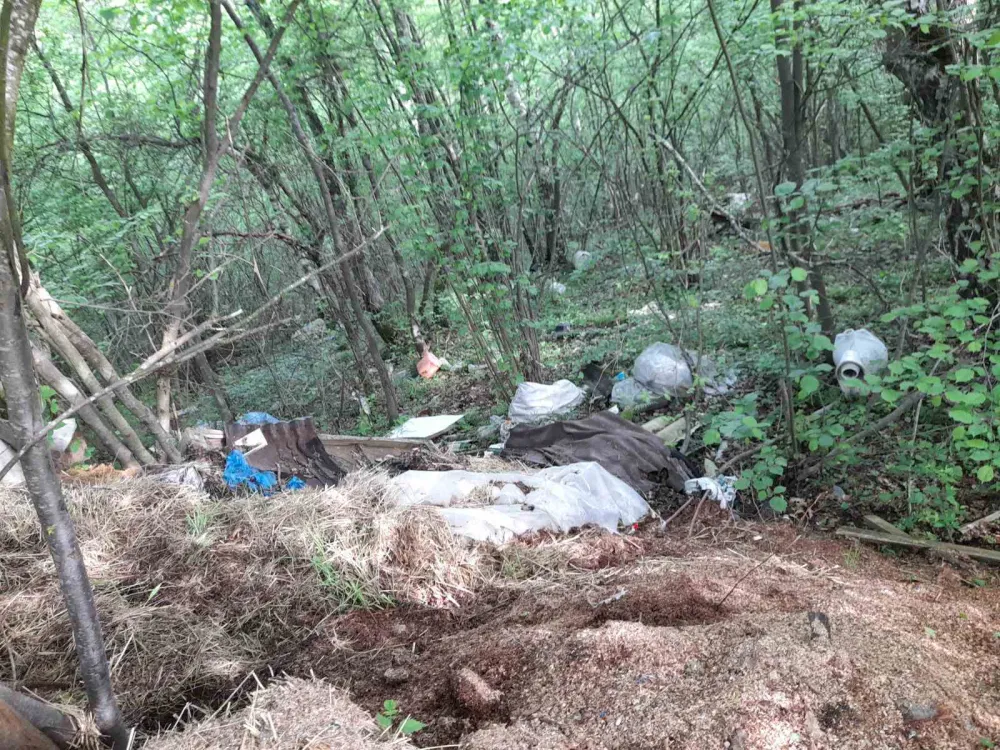 Дивља депонија поред пута