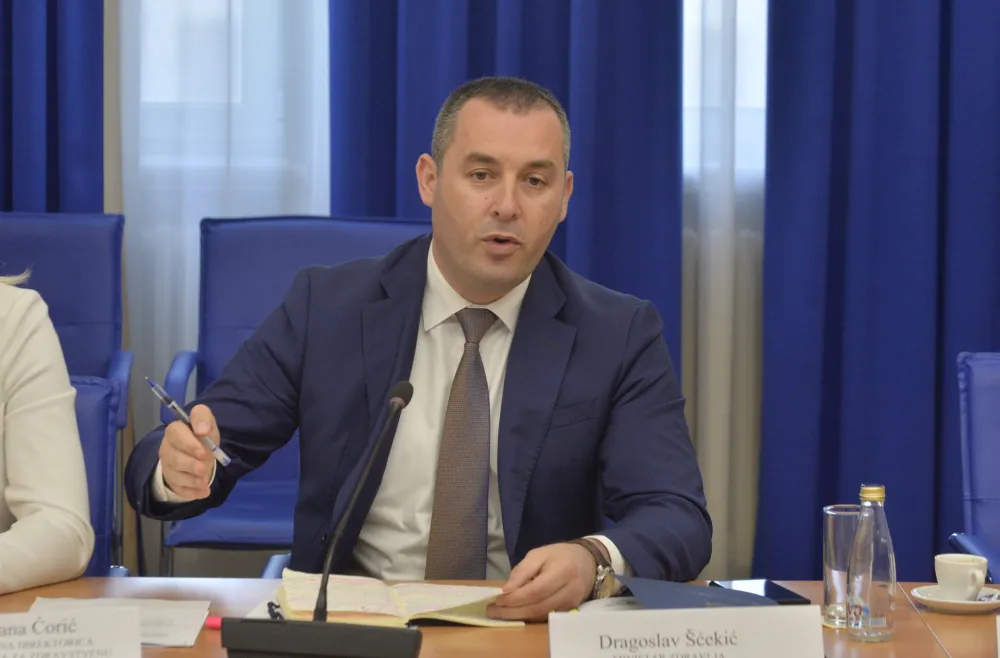 Odbor za zdravstvo, zasjedanje odbora za zdravstvo, Dragoslav Scekic, ministar zdravlja
