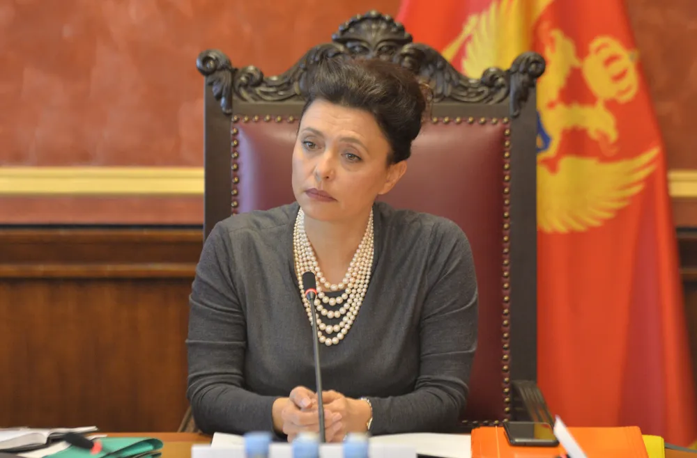 Sjednica ustavnog odbora, Simonida Kordic, predsjednica ustavnog odbora