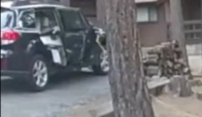 (VIDEO) Medvjed ostao zarobljen u automobilu