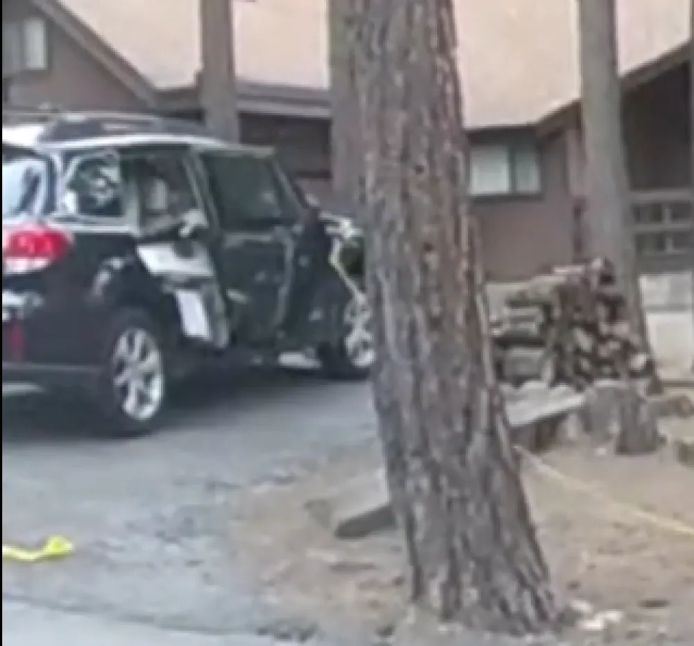(VIDEO) Medvjed ostao zarobljen u automobilu