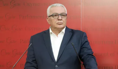 andrija mandic, df