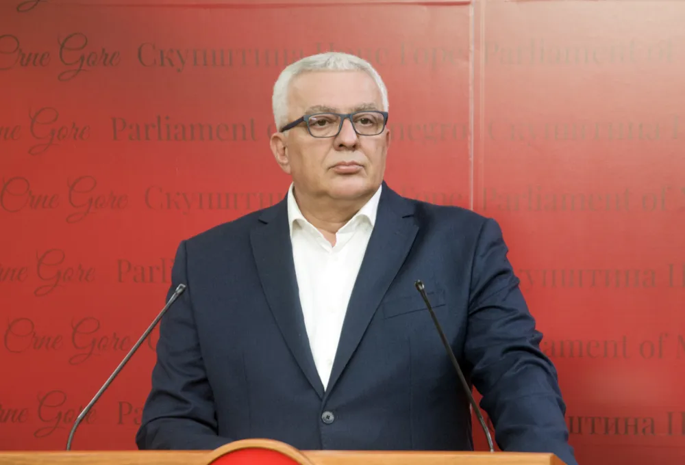 andrija mandic, df
