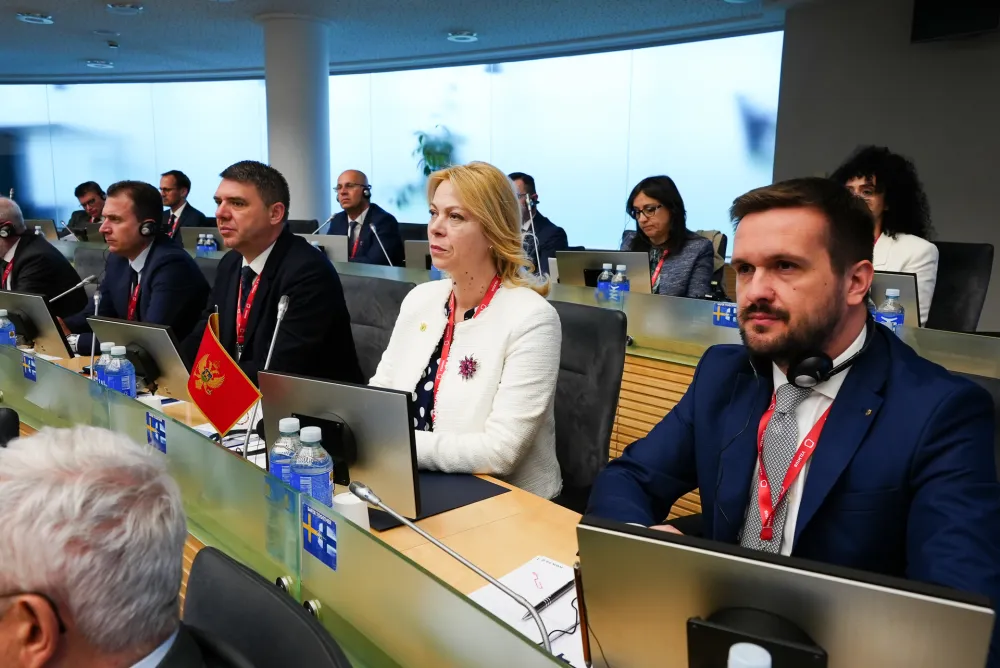 Đurović učestvovala na NATO samitu