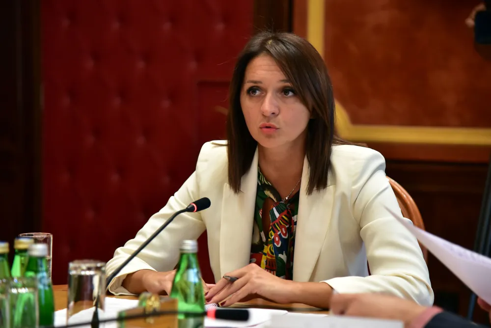 Ustavni odbor saslusanje kandidata za sudije Ustavnog suda, Snezana Armenko