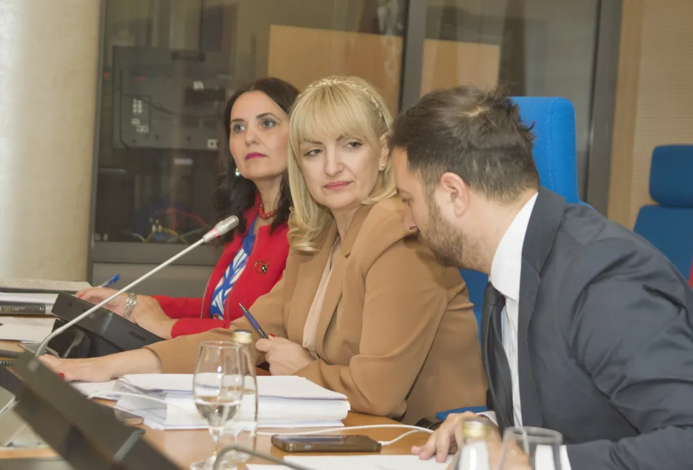 sjednica skupstine glavnog grada
