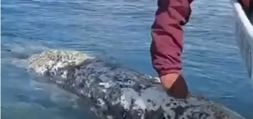 Prijateljstvo koje će vam razniježiti srce 