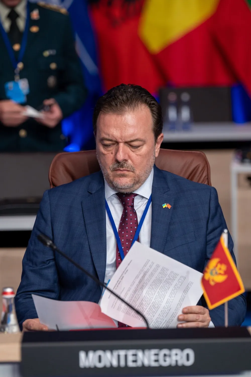 Perović sa samitu NATO