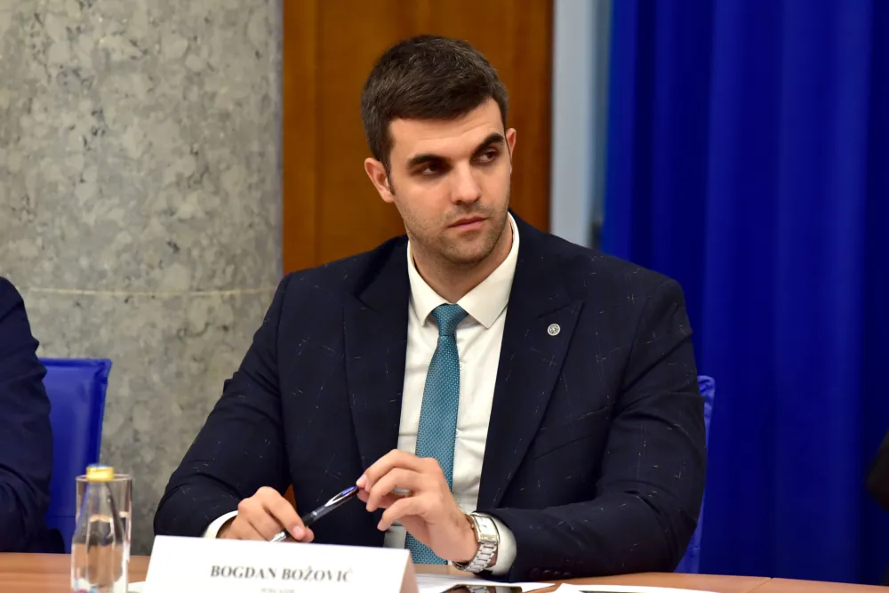 Odbor za ekonomiju, rebalans, Bogdan Bozovic