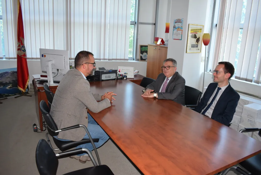 Timonije i Gazdić