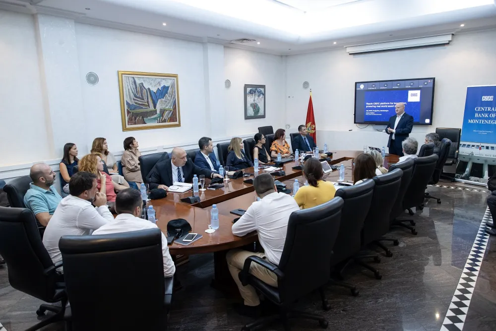 Realizacija pilot-projekta stabilne valute