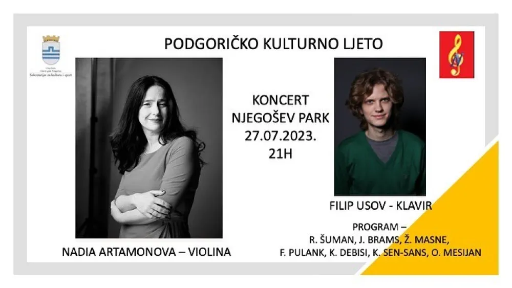 Vizual za koncert