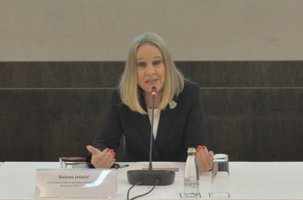 konferencija udrizenja mladih sa hendikepom, Bozena Jelusic