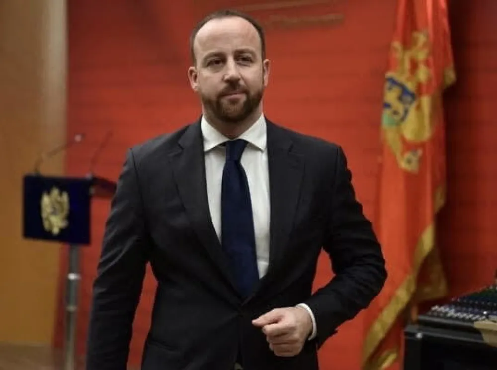 Nikolić: Ne očekujem da će Crna Gora dobiti ozbiljnu evropsku vladu