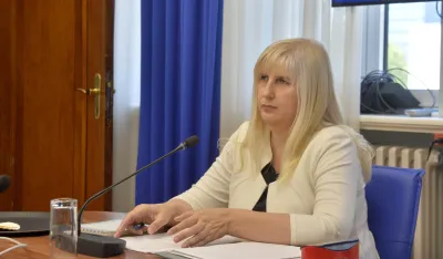 sjednica ustavnog odbora, ustavni odbor, Snezana Jonica