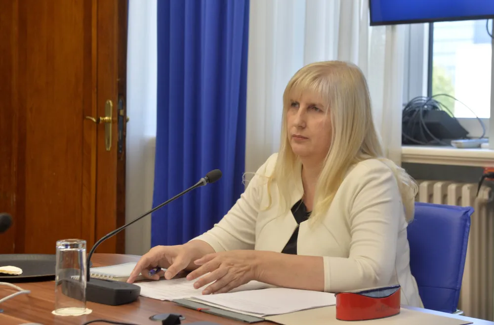 sjednica ustavnog odbora, ustavni odbor, Snezana Jonica