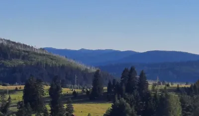 Kosanica, Pljevlja
