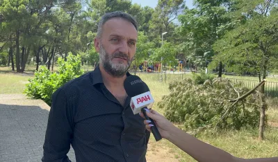 (VIDEO) Na meti vandala: Posјečena stabla u dvori&scaron;tu Osnovne &scaron;kole "&Scaron;tampar Makariјe"