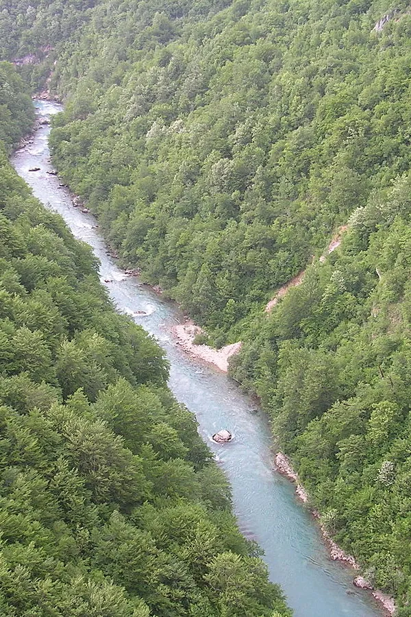 Ријека Тара (фото: Википедија)
