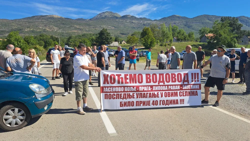 jasenovo polje