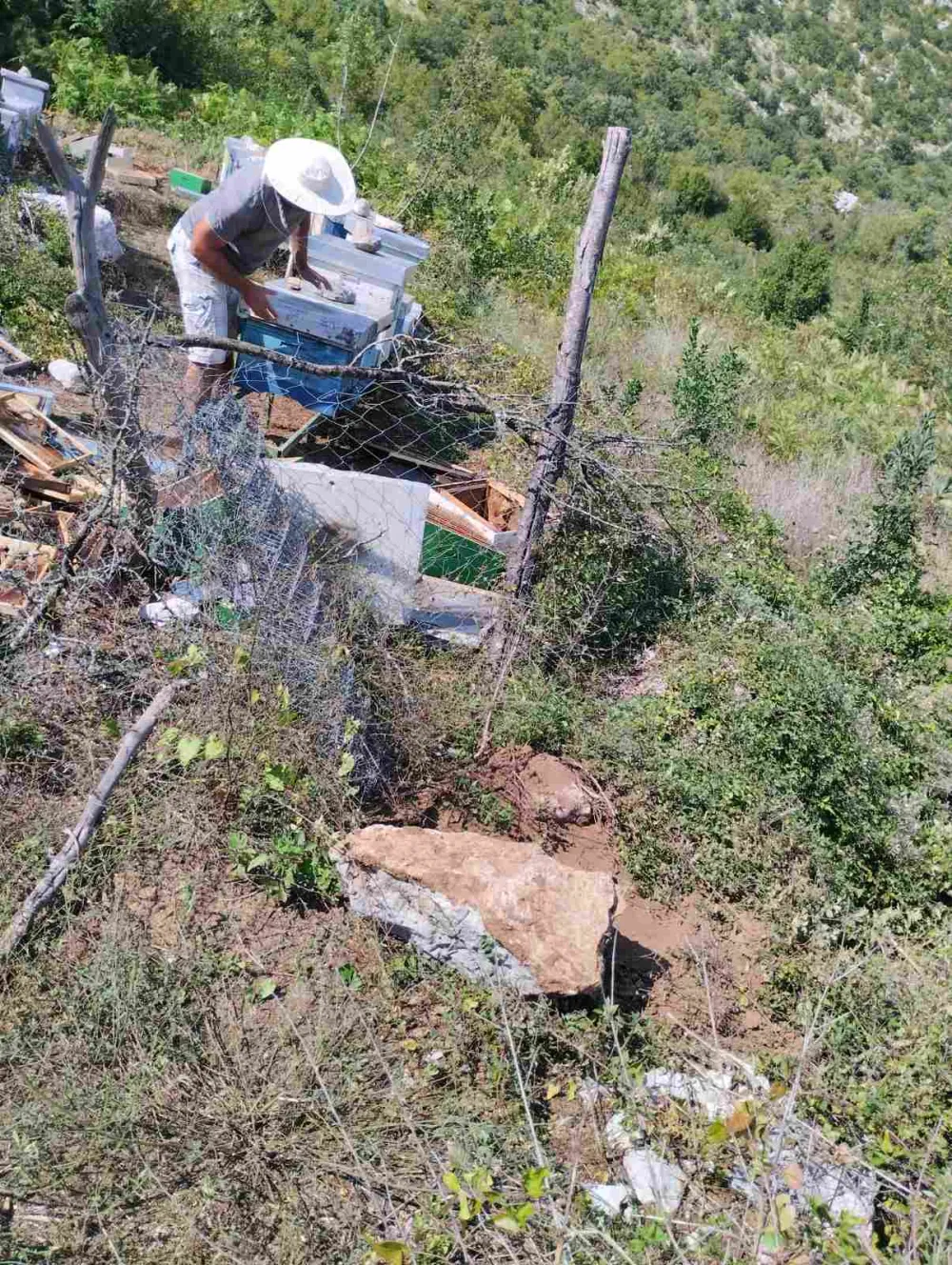 Medvjed uni&scaron;tio sedam ko&scaron;nica pčelara Ljuljzima Dragovića