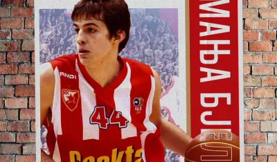 Nemanja Bjelica