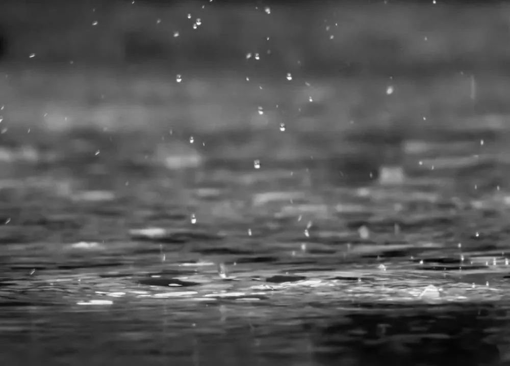 Unsplash: reza shayestehpour<br>Ki&scaron;a, poplava, ilustracija
