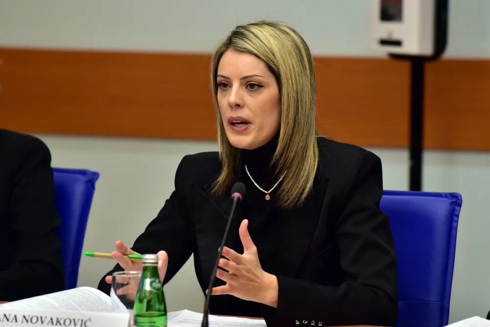 Ana Novakovic Djurovic,Odbor za turizam i ekonomiju