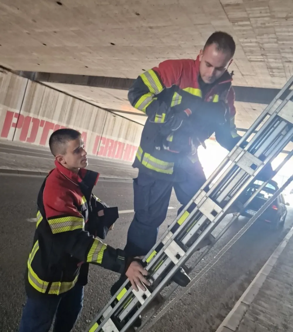 Podgorički vatrogasci spasili &scaron;tene iz kanala