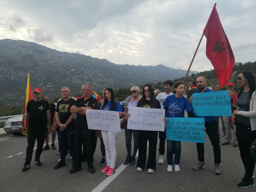 protest, popis