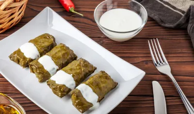 Delicious homemade dolma with garlic-yogurt sauce close-up