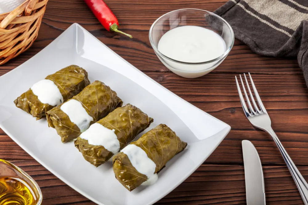 Delicious homemade dolma with garlic-yogurt sauce close-up