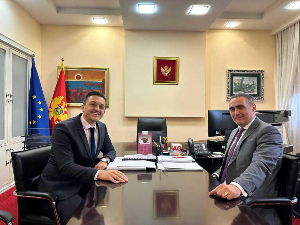 Vuković i Damjanović