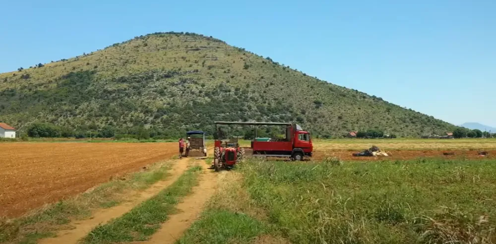 Na&scaron;ih ruku djelo