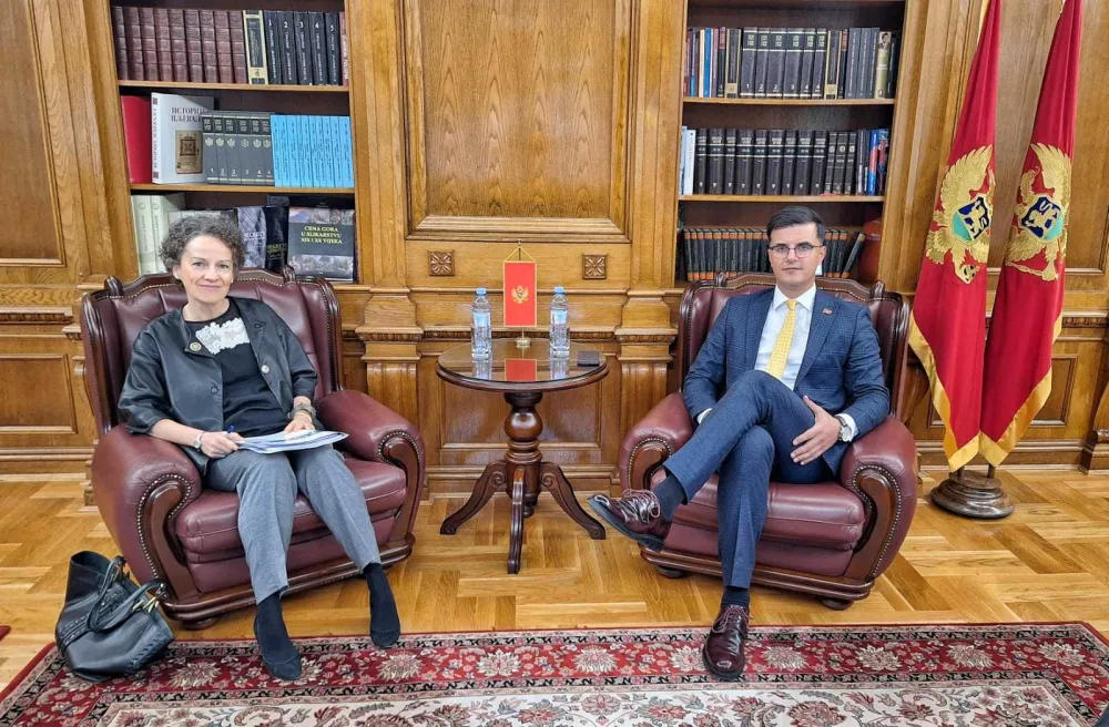 Danilo &Scaron;aranović i Dominik Vag