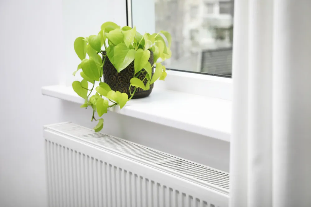 Beautiful houseplant on window sill and modern radiator at home. Central heating system