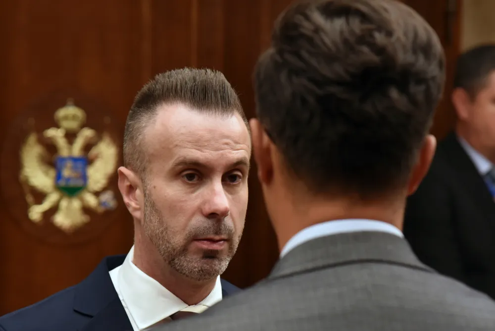 Rovčanin, Ćeman, Leković i Stjepović novi poslanici, Bogdanović predsjednik Kluba poslanika Demokrata