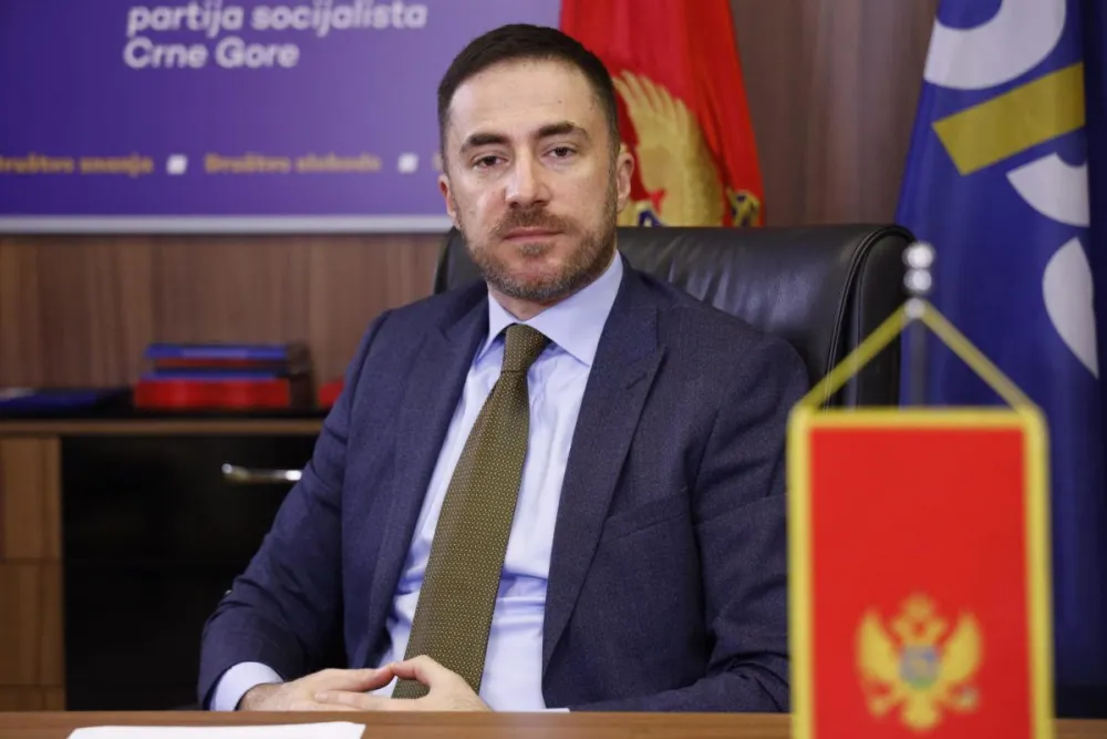 Bogdanović na Kongresu PES u Malagi: Ugrožen evropski put Crne Gore